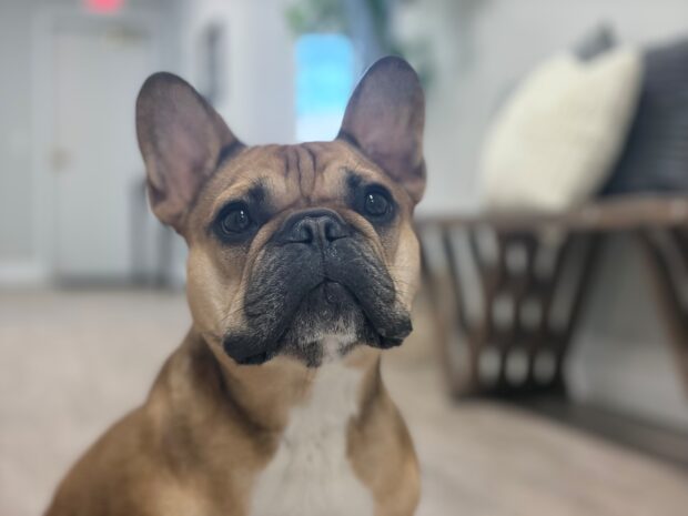 View Guillermo “Gizmo”'s profile